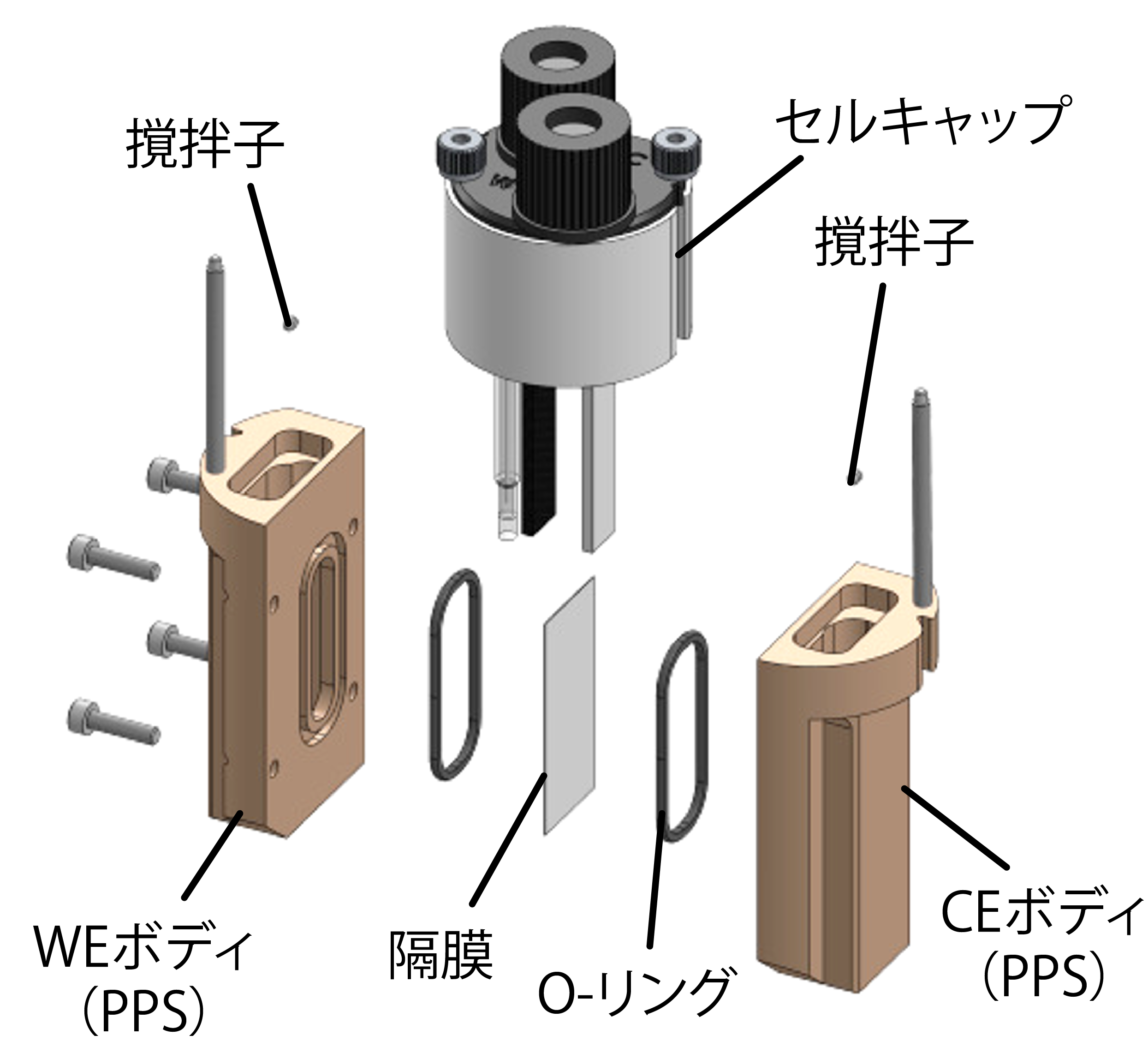 ディバイデッドセル 展開図