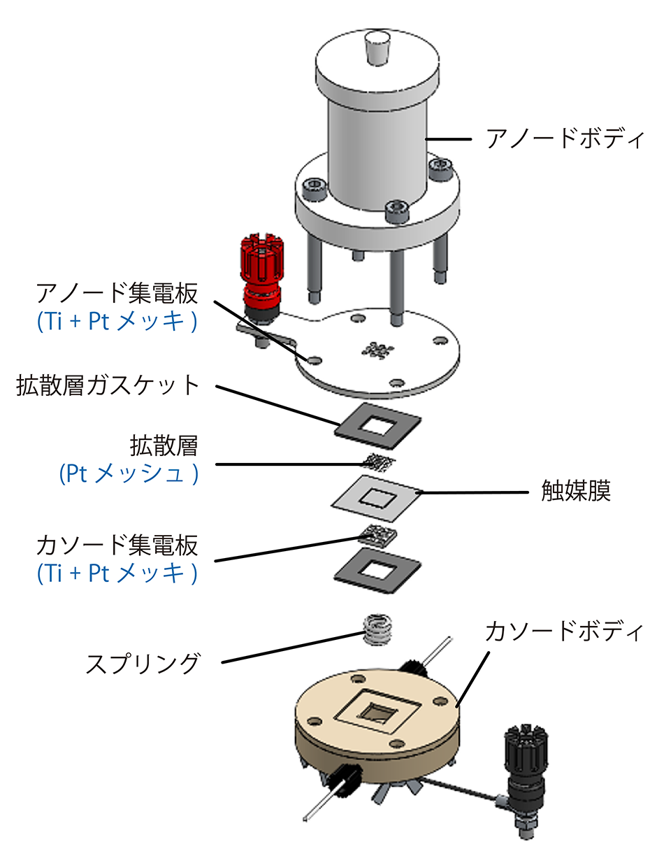 セル展開図