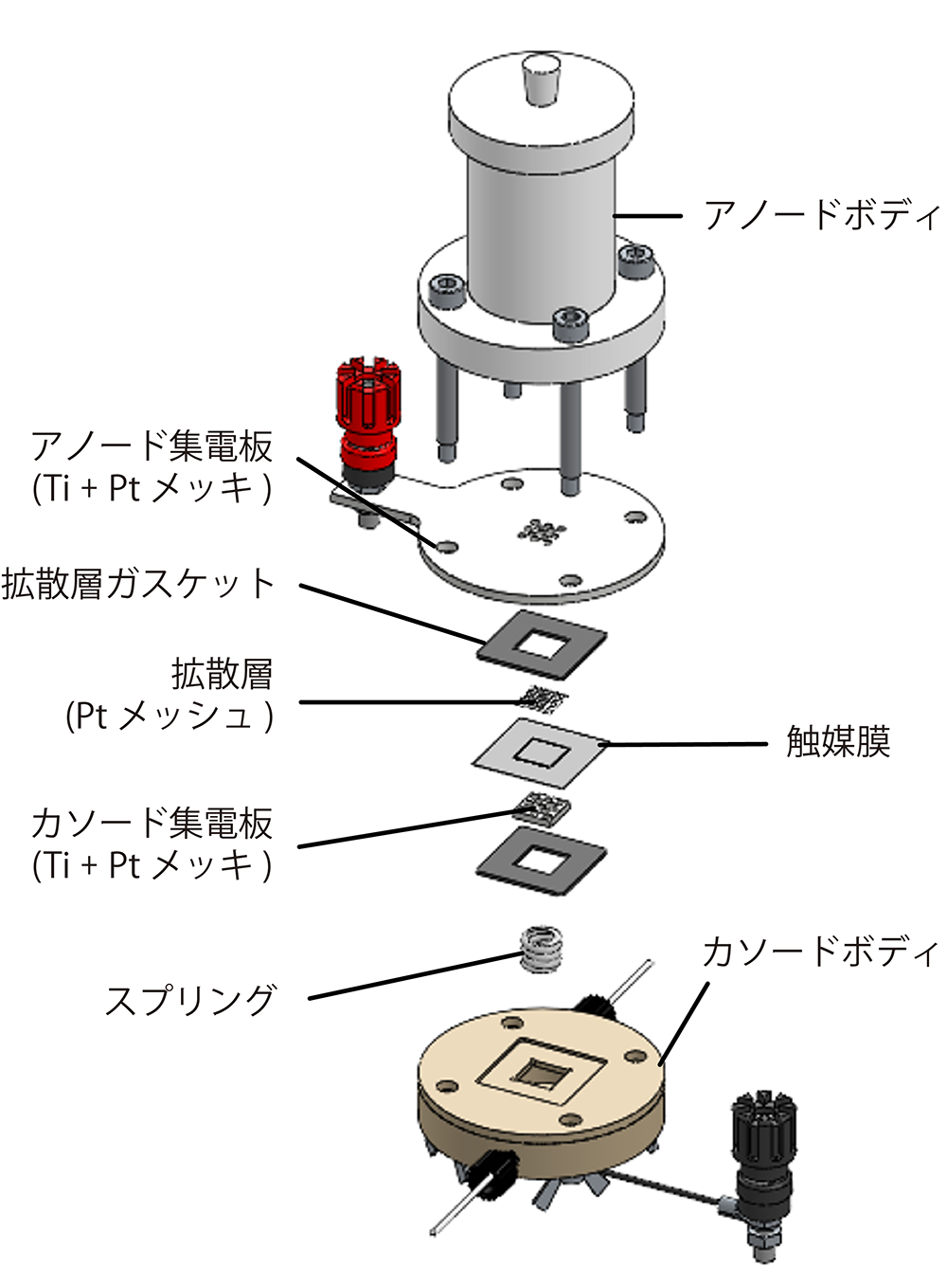 セル展開図