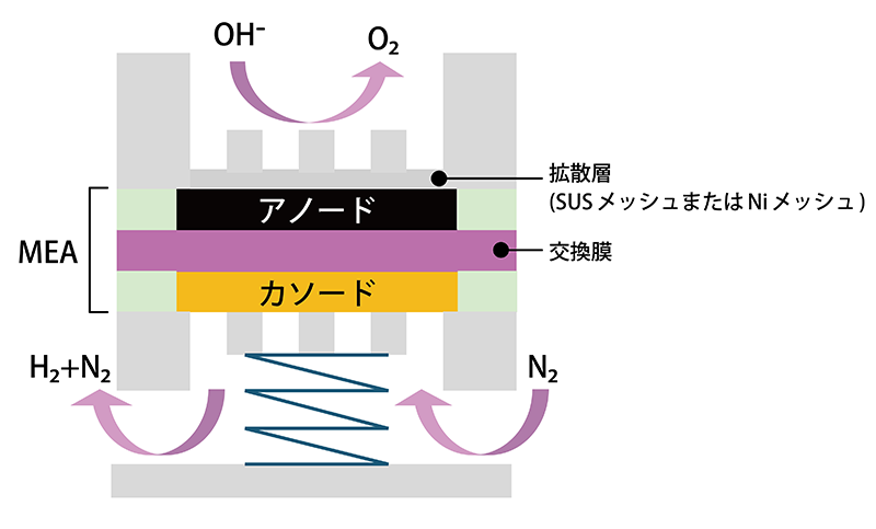 セル構造
