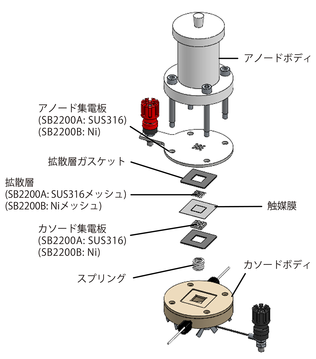 セル展開図