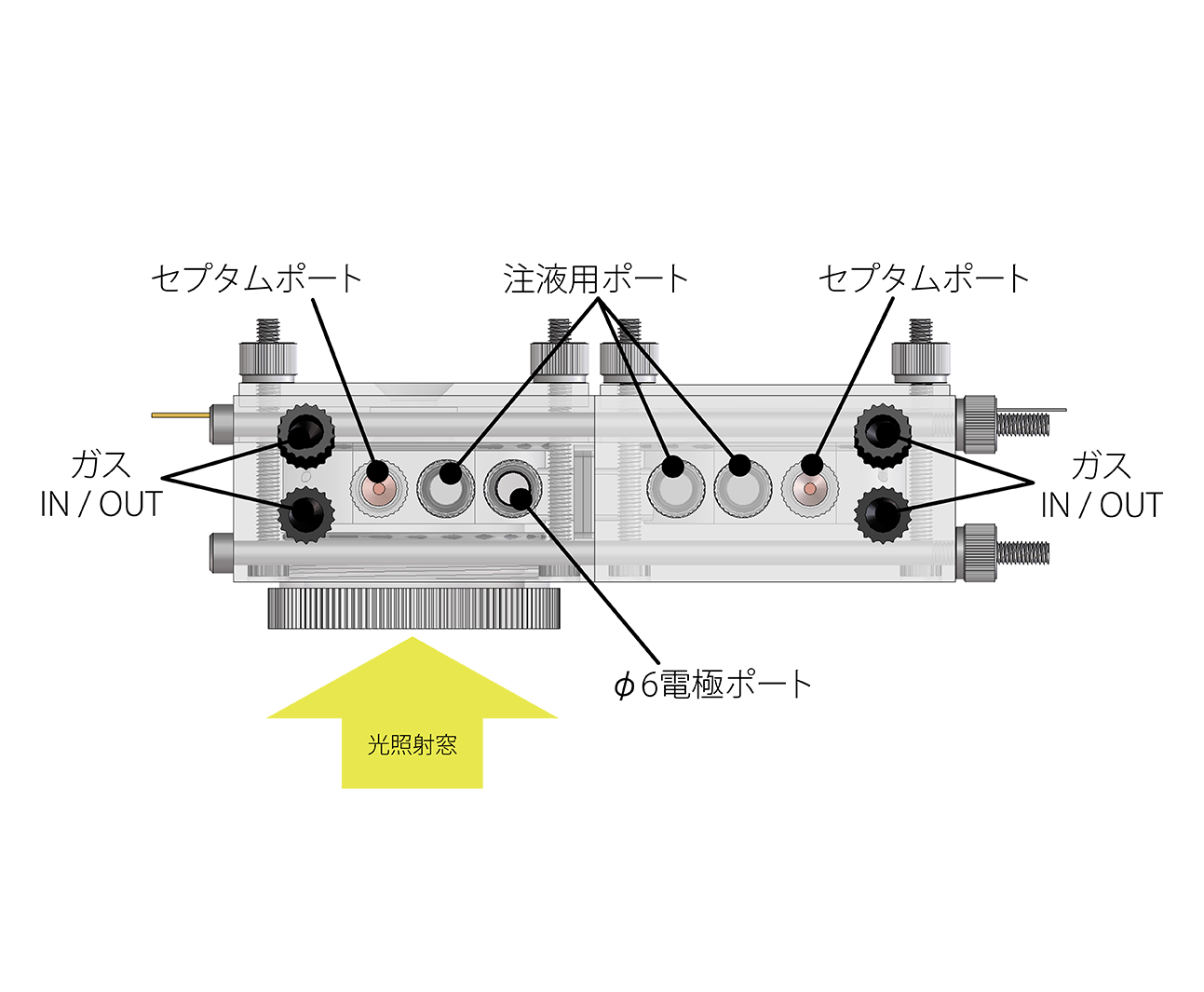 セル構造／寸法