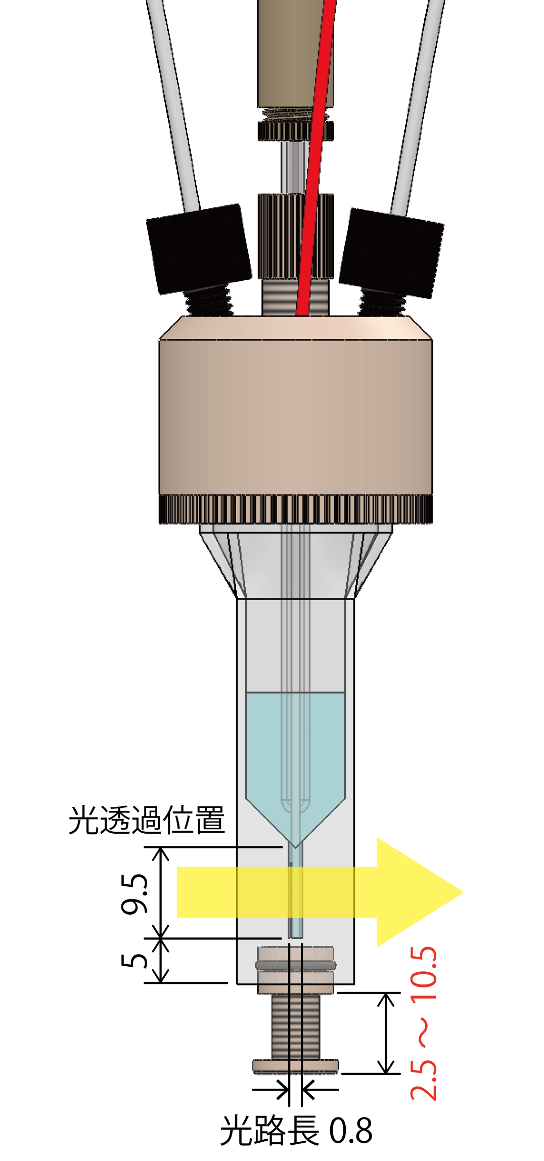 セル構造