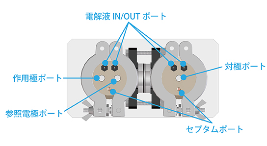 セル構造