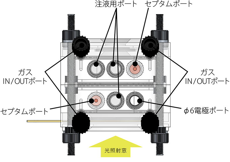 セル構造／寸法