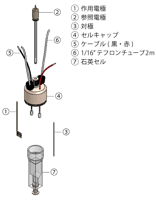 セル構造