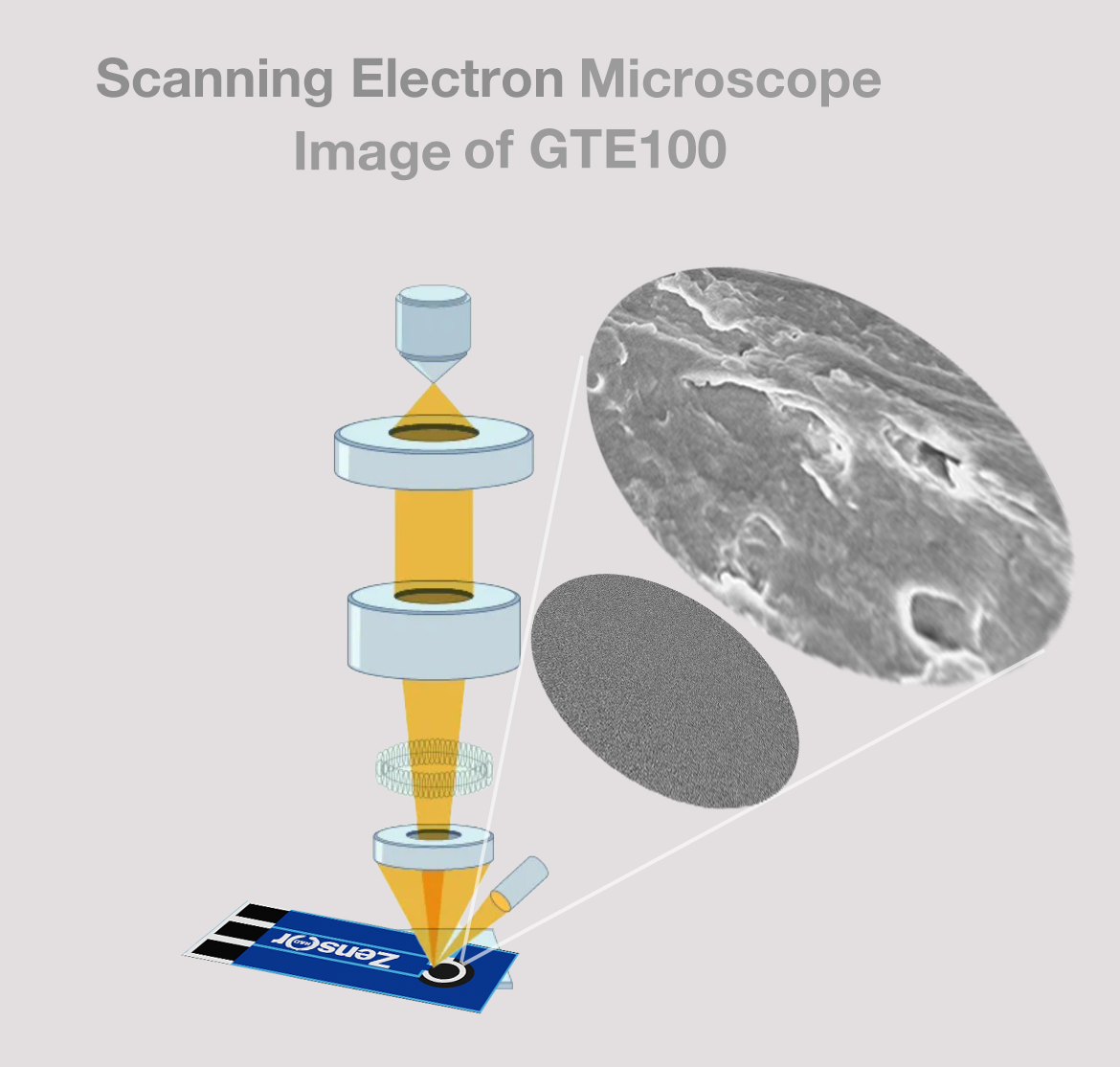 Scanning Electron Microscope Image of GTE100